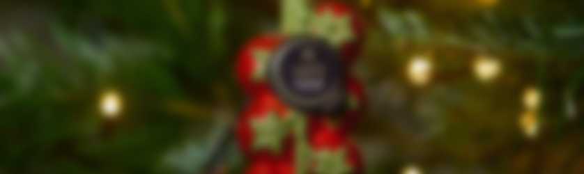 50x Vondels x Looye Honigtomaten-Schmuck für deinen Weihnachtsbaum & 1x Jahresversorgung mit Looye Honigtomaten.