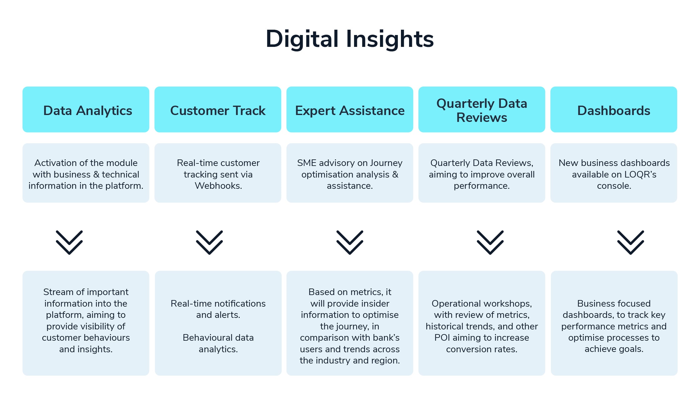 graphic with LOQR's Digital Insights