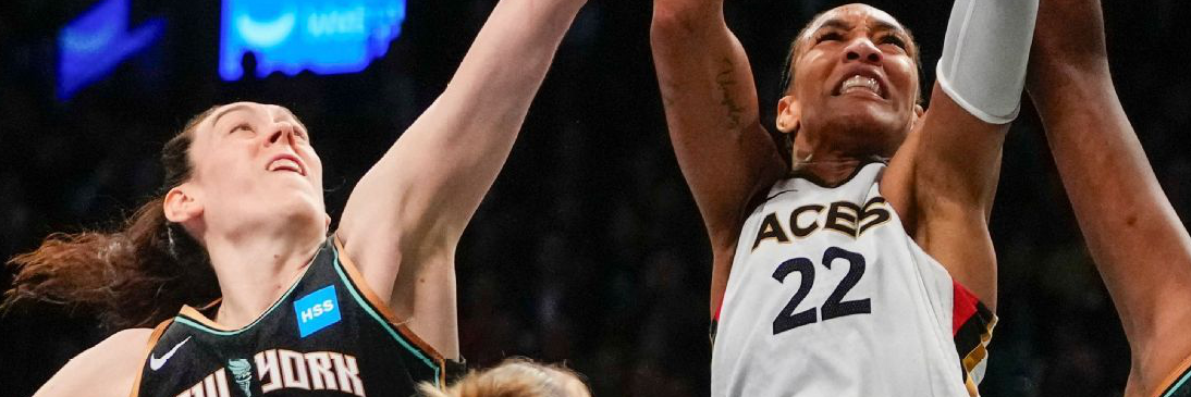 WNBA Came To Play banner