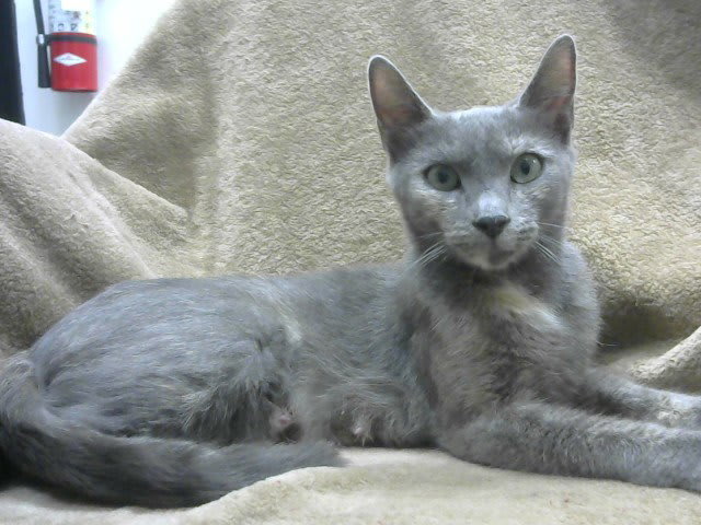 Photo of Mama Victoria