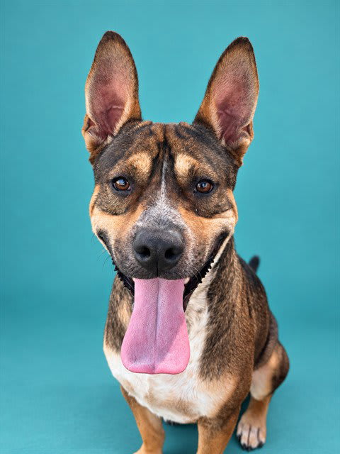 Photo of Jax