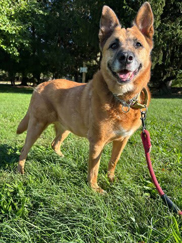 Photo of Pepper