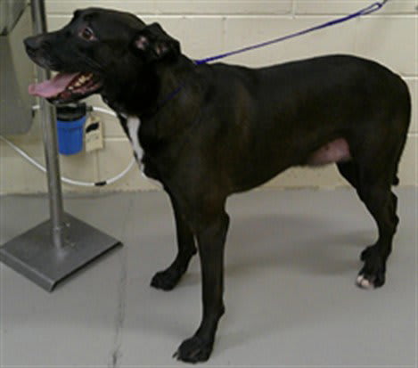 Photo of Cash