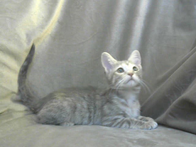 Photo of Alexandra