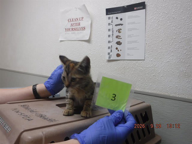 Photo of Tasha