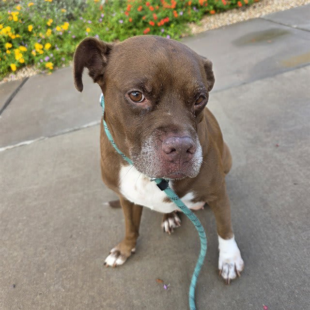 Photo of Lolli