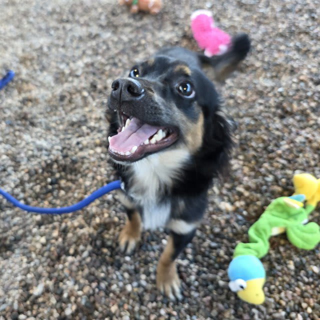 Photo of Oliver