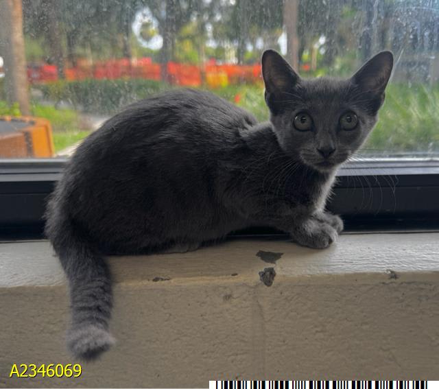 Photo of Zipper