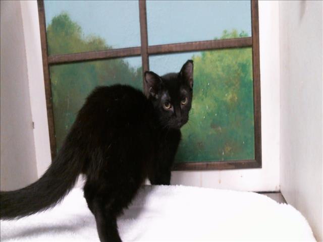Photo of Teddy