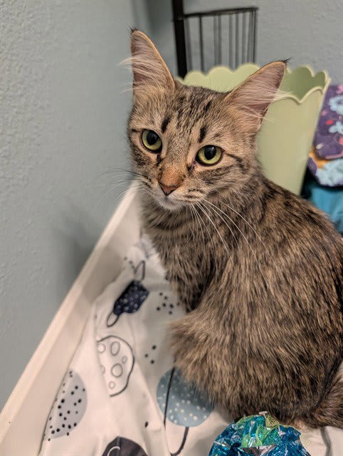 Photo of Lil Dolly