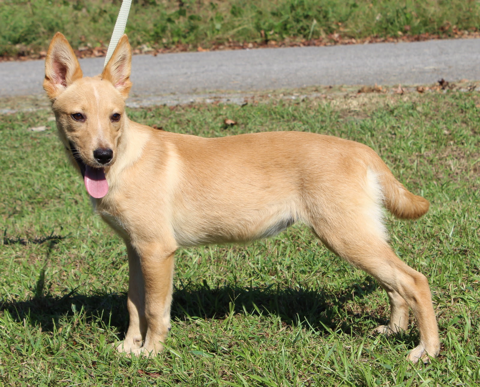Photo of Annie 44465