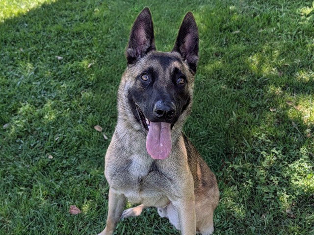Photo of Max