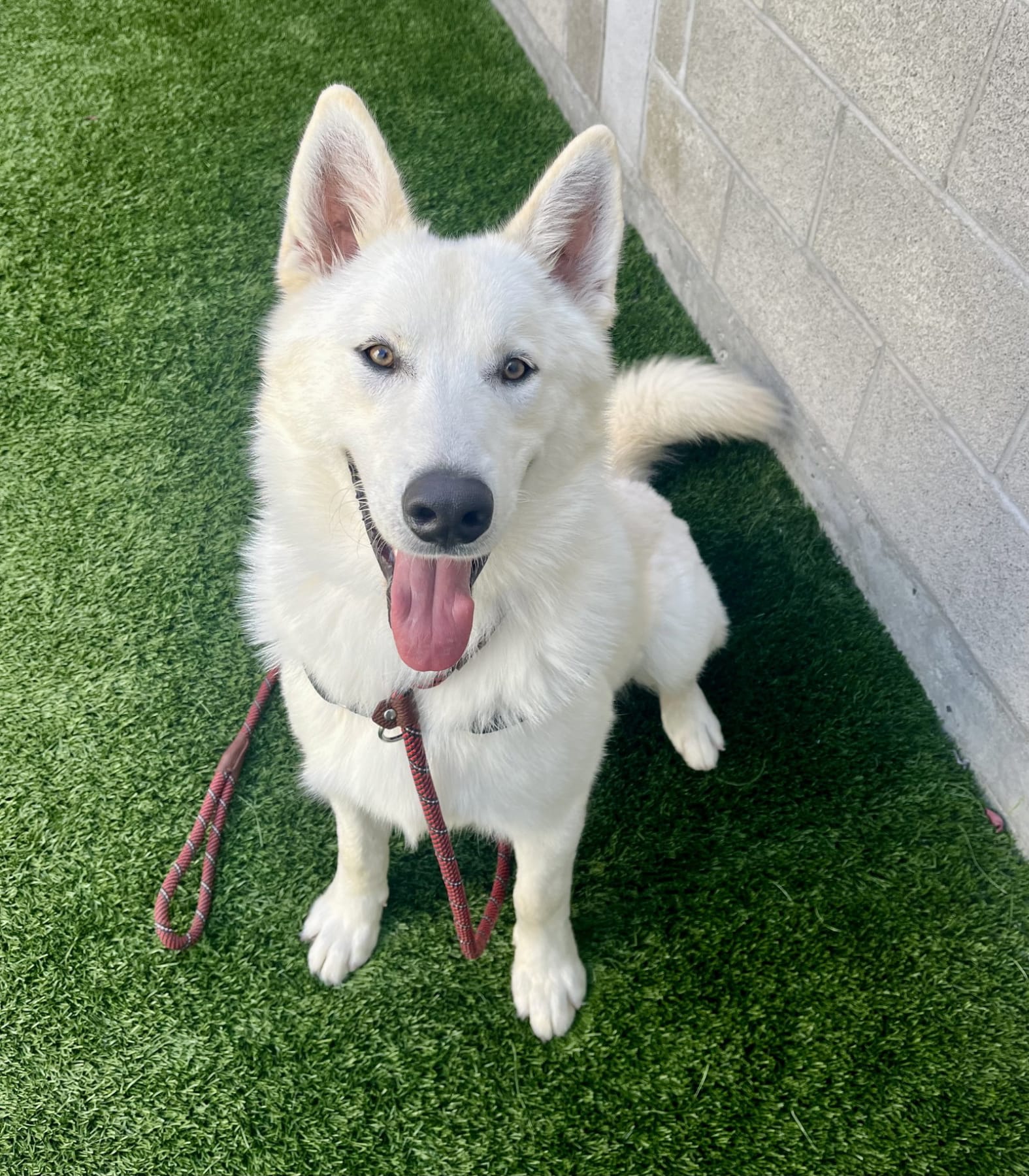 Photo of Tundra