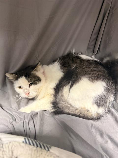 Photo of Myrtle