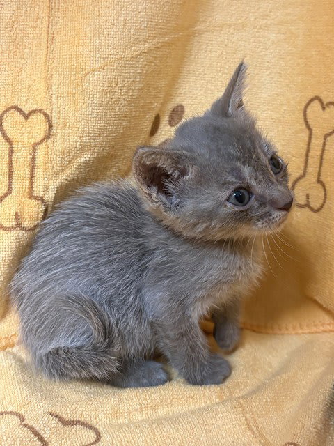 Photo of Charlie