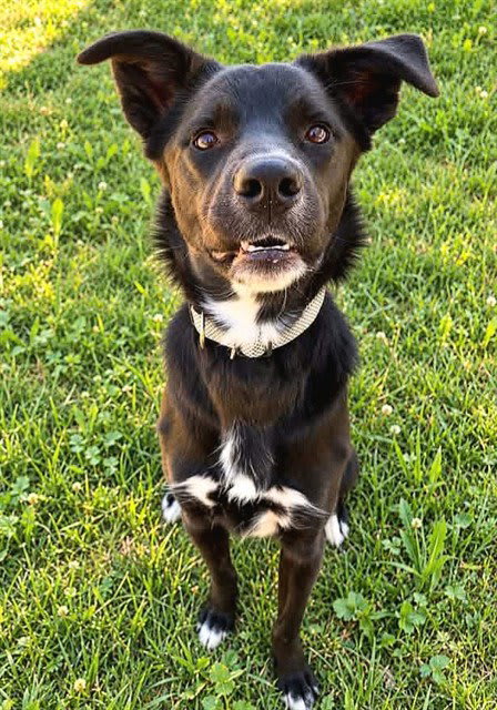 Photo of Bella