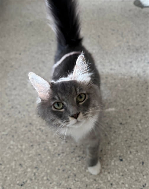 Photo of Emmett