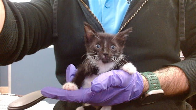Photo of Matilda