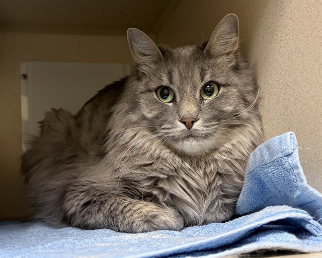 Photo of Fiona