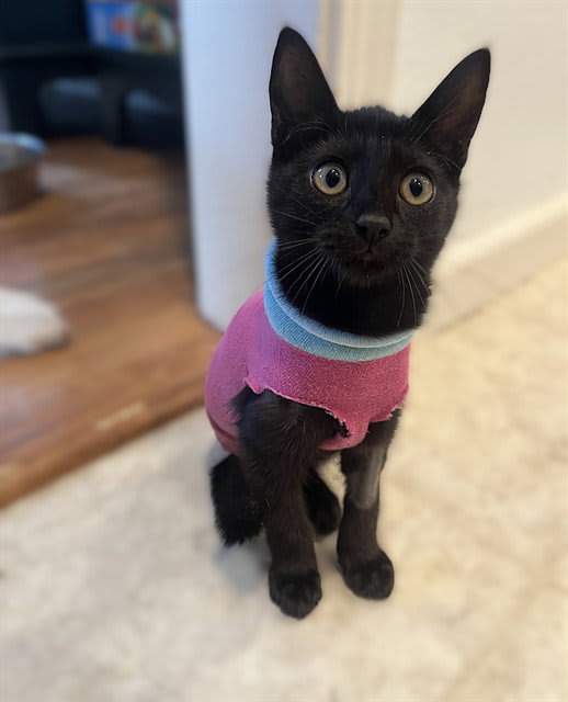 Photo of Spoopy