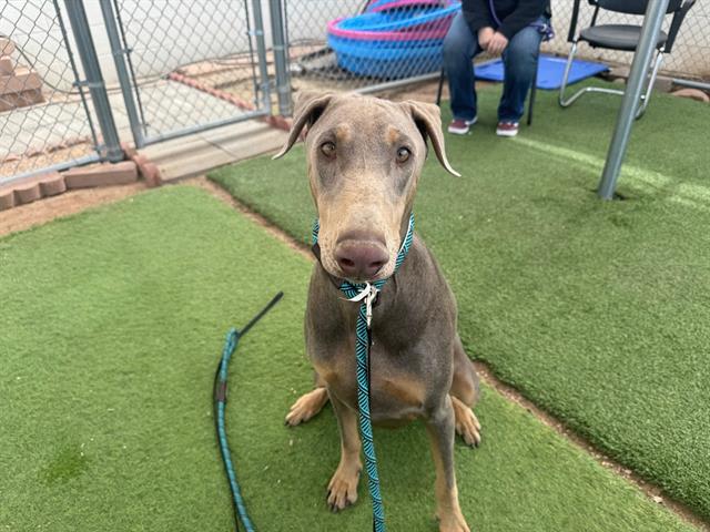 Photo of Jax
