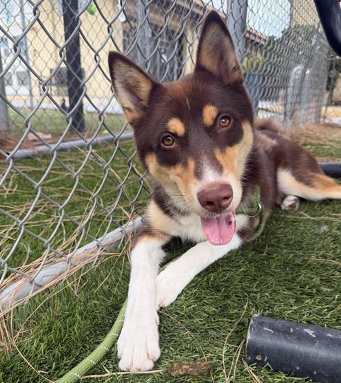 Photo of Aspen