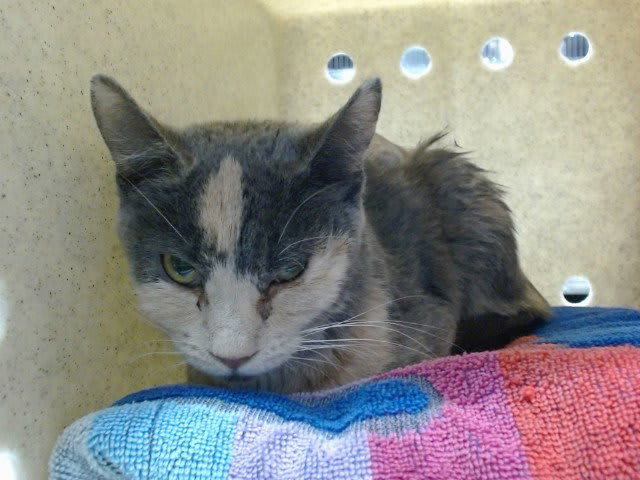Photo of Isla
