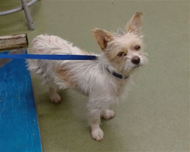 Photo of Frankie