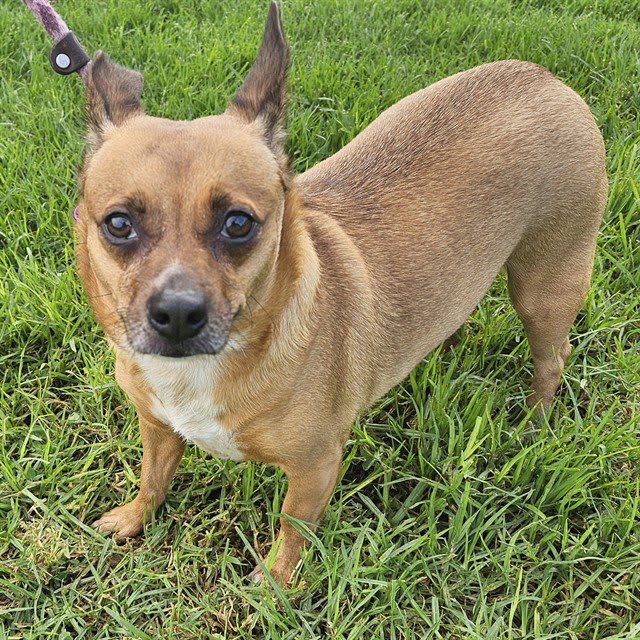 Photo of Kiwi