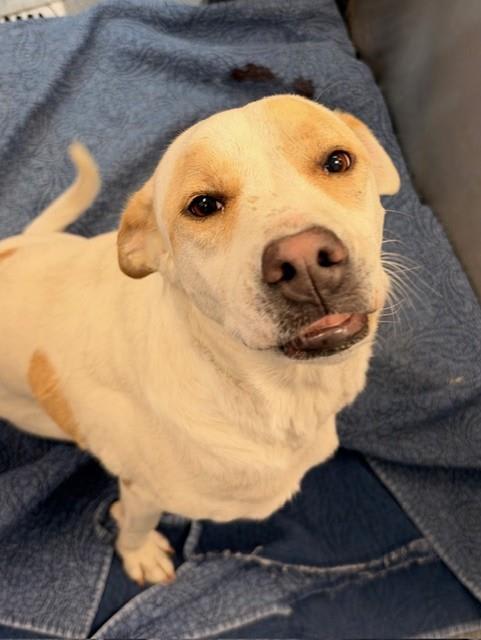 Photo of Penny