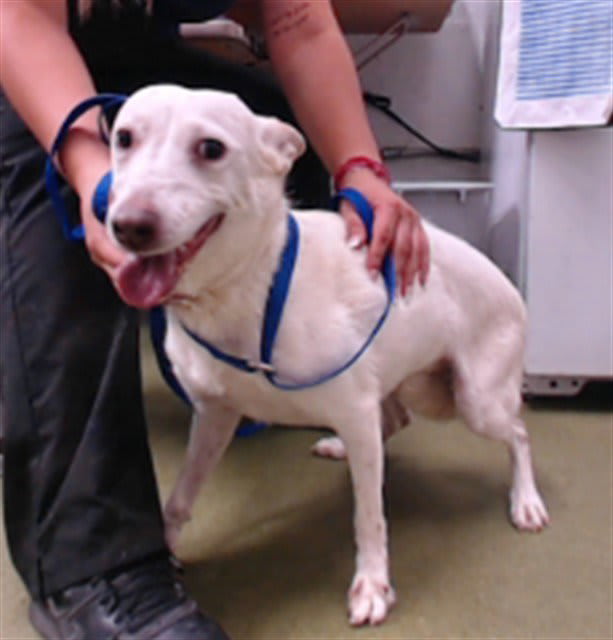 Photo of Maggie