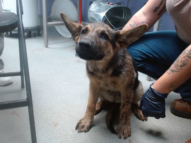 Photo of Lola