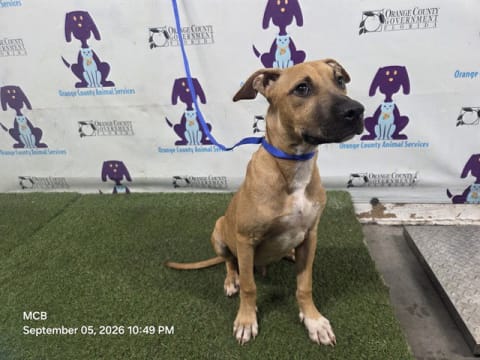 Photo of CAIN