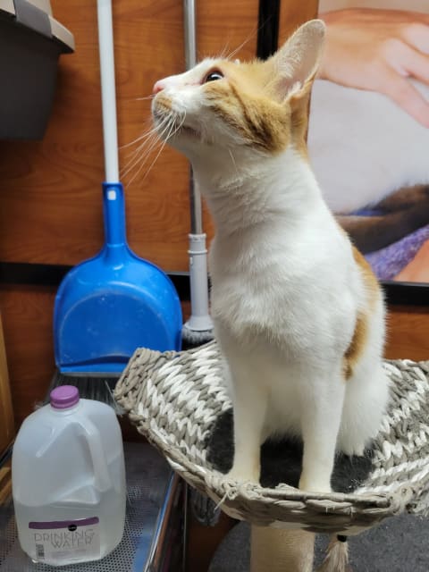 Photo of Eddie Spaghetti