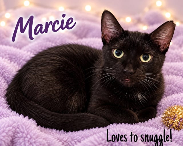 Photo of Marcie