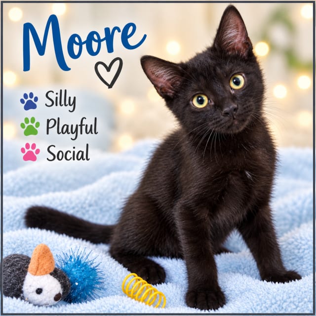 Photo of Moore