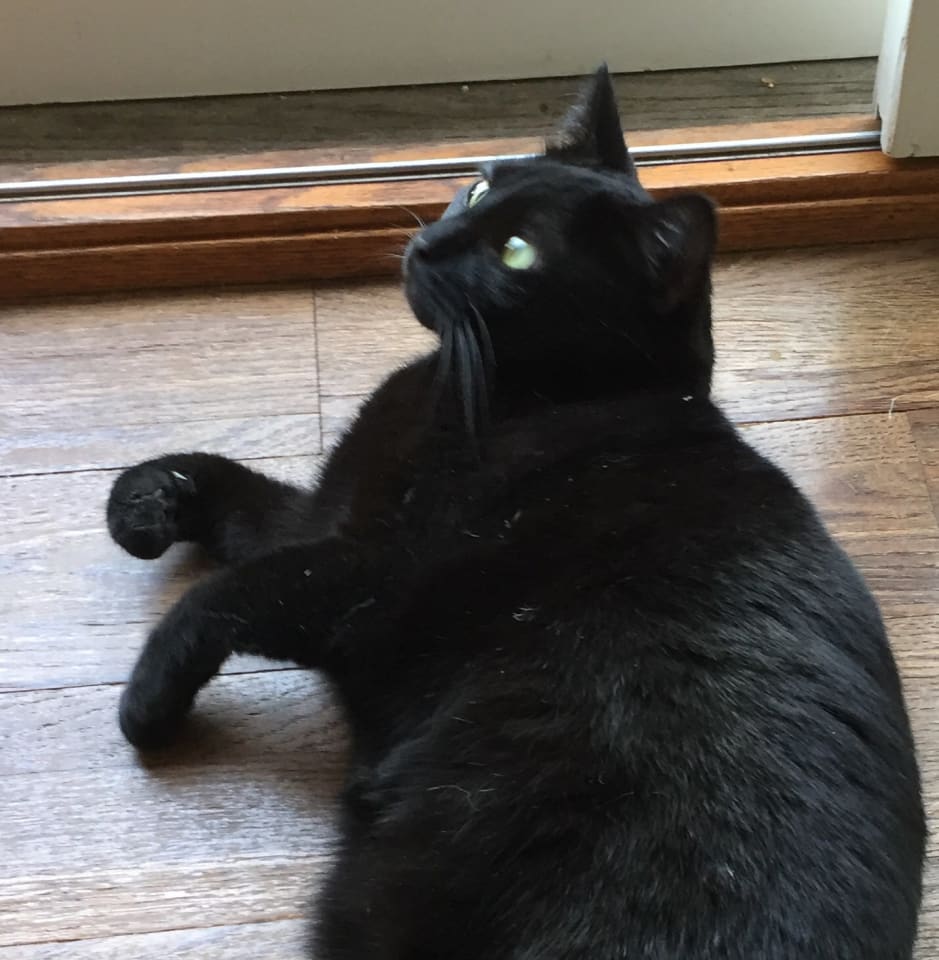Photo of Little One