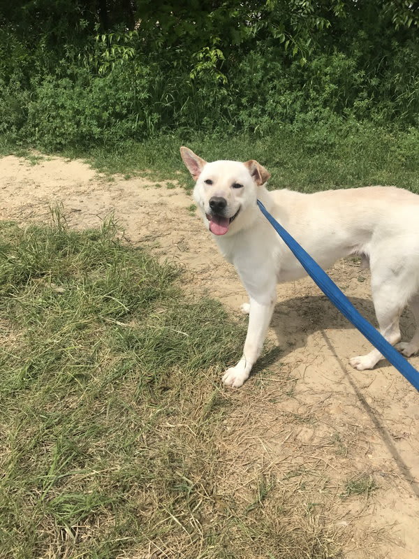 Photo of Apollo