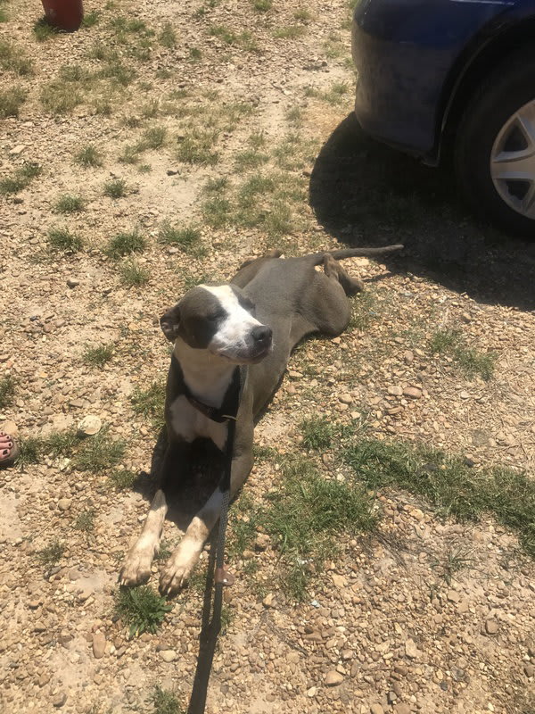 Photo of Monty