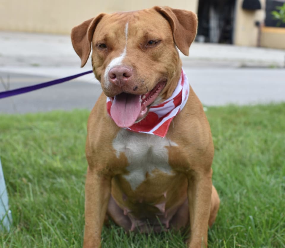 Photo of Amora