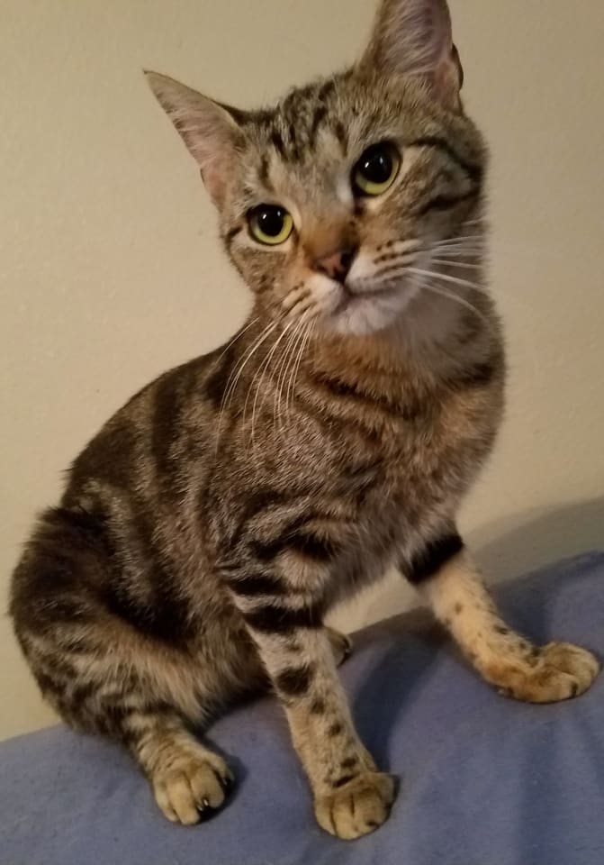 Photo of Lexi