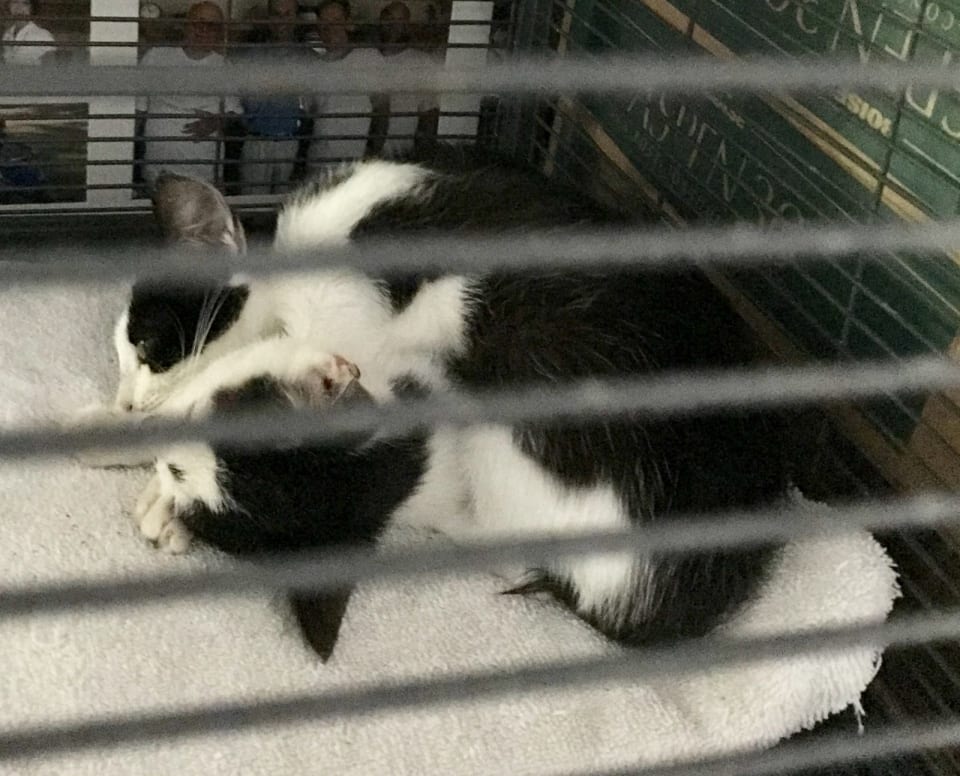 Photo of Jack Jack