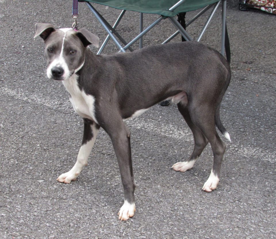 Photo of Blue Steele