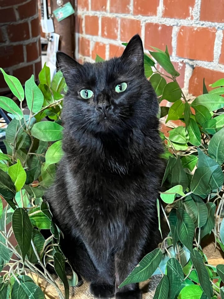 Photo of Tabitha