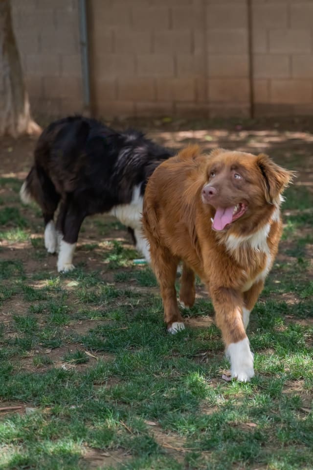 Photo of JACK