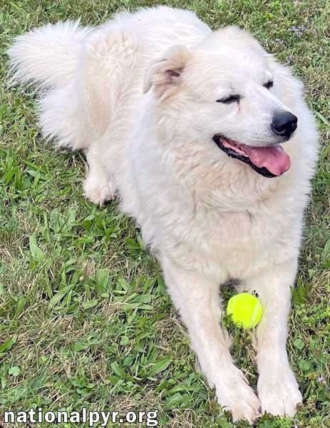 Photo of Luke in PA - Looking for the Good Life!