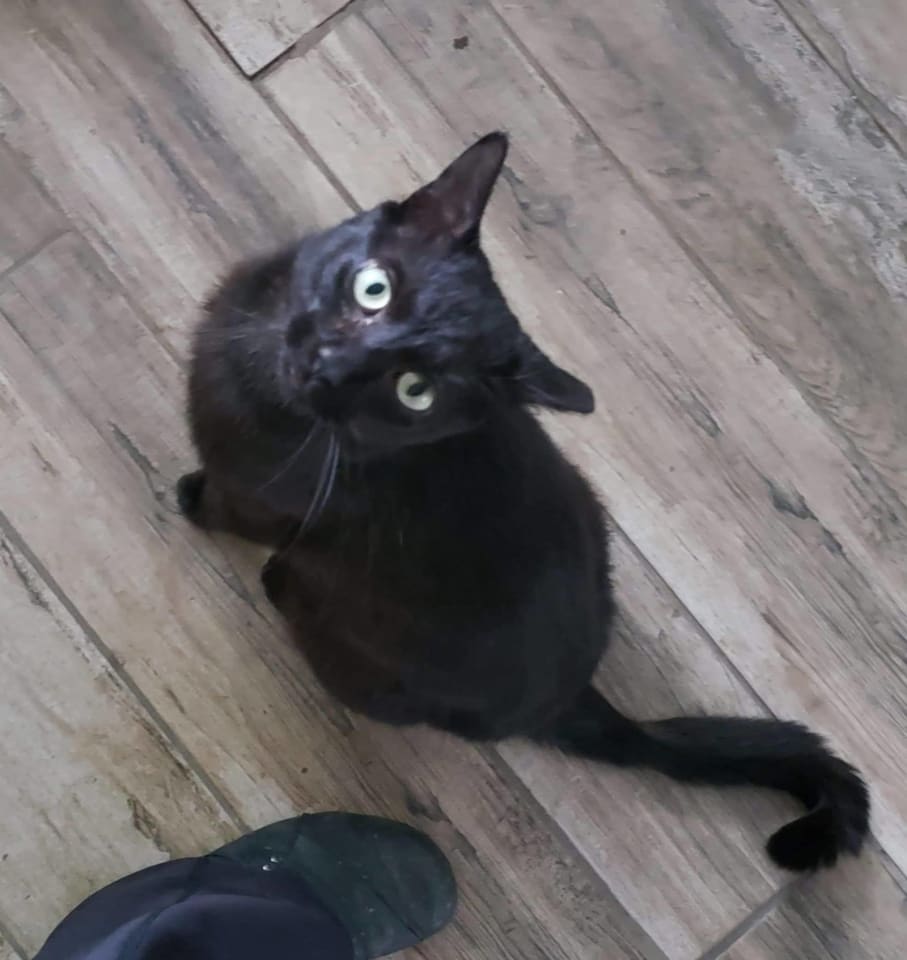 Photo of Louie