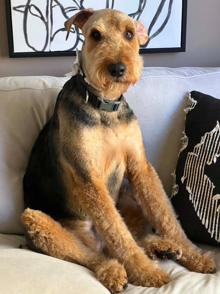 Photo of Roy