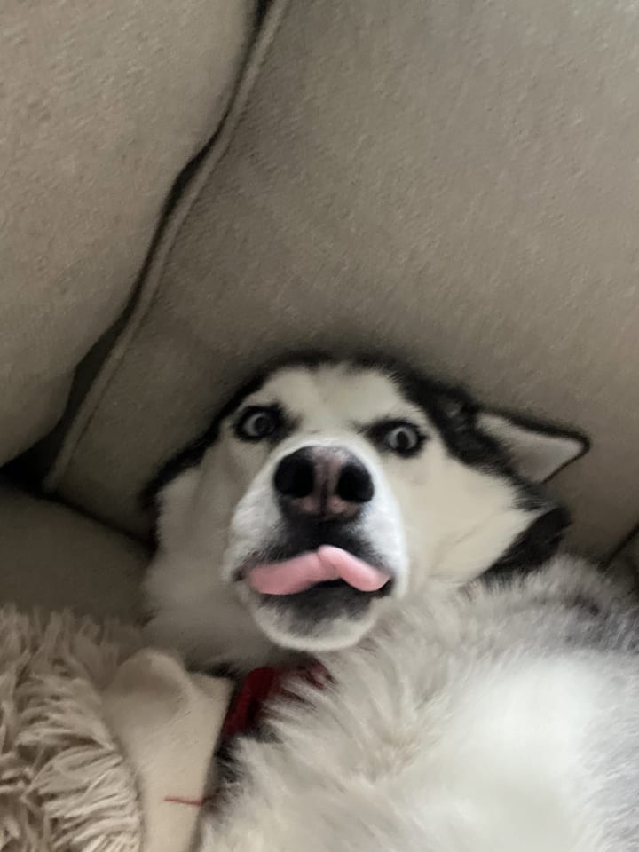 Photo of Siya
