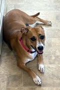 Photo of LUNA